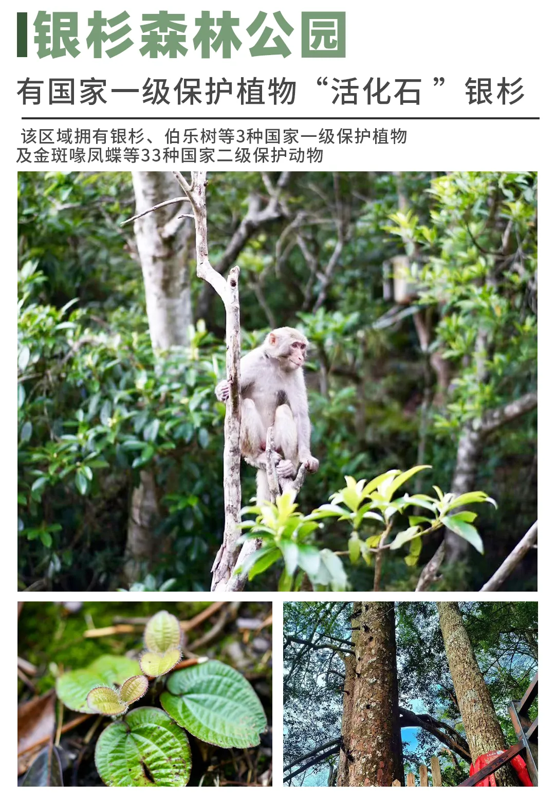 b14e23a2945d87b8cff22d6f1e11e74e-sz_1170608