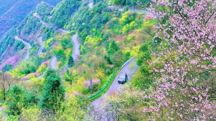 b19e9bc97b283ed4c17cf15b18504641-sz_233488