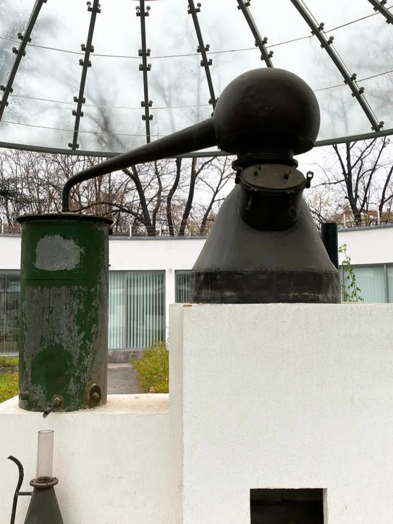 b1f5613216f90d20cb18b311022bd464-sz_321699