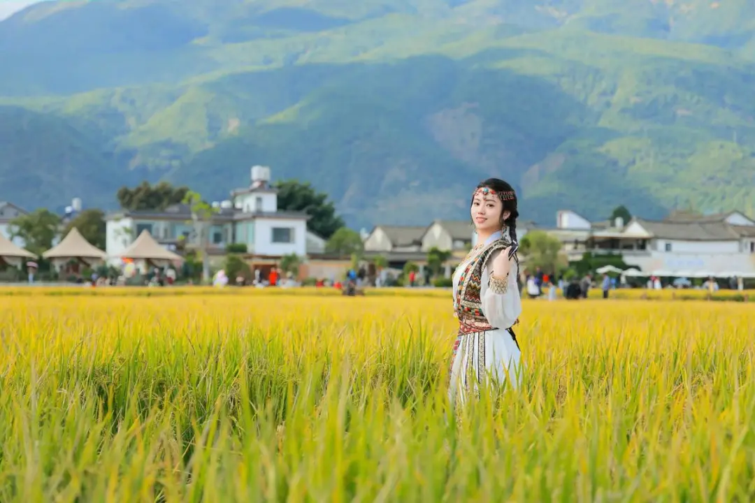 b1f5d5228777d676f041ea7835e02d11-sz_117758