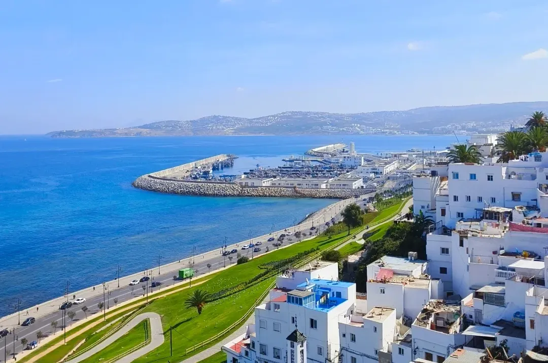 b1fd8c69e198dc488a42798b0a8d7348-sz_2728221