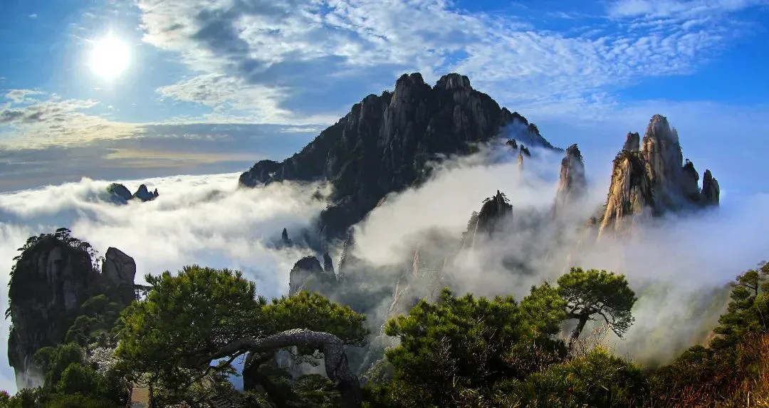 b2082279fa15d45be3f4aff95df64edc-sz_114228 b2082279fa15d45be3f4aff95df64edc-sz_114228