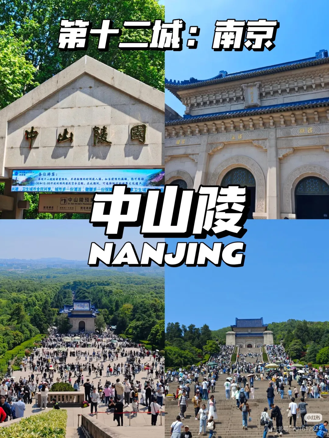 b20cc061445cde61ce4a6b8b7c03fb2e-sz_1731699