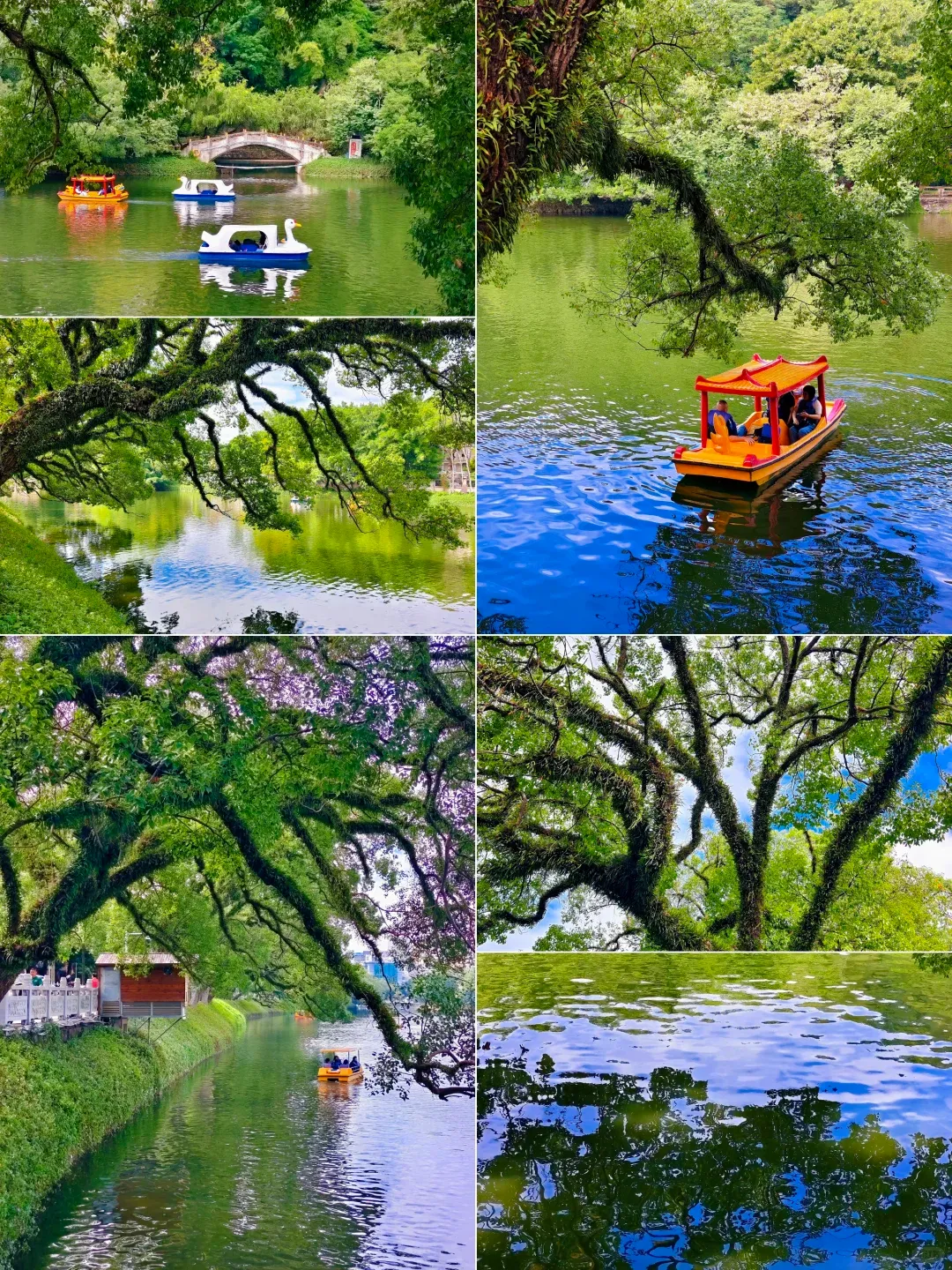 b20cc277a8e578529257e87cd1f45242-sz_3835756