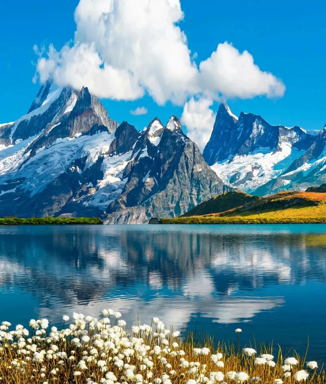 b22ce41773064de5325e2ad1efed3358-sz_446060