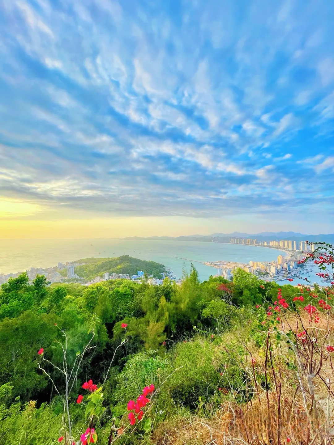 b246348a4d2d43e8d37d551a88358481-sz_3467322-3