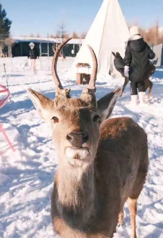 b24ba1c3cb9d95e24fd1f52220216b5e-sz_47363