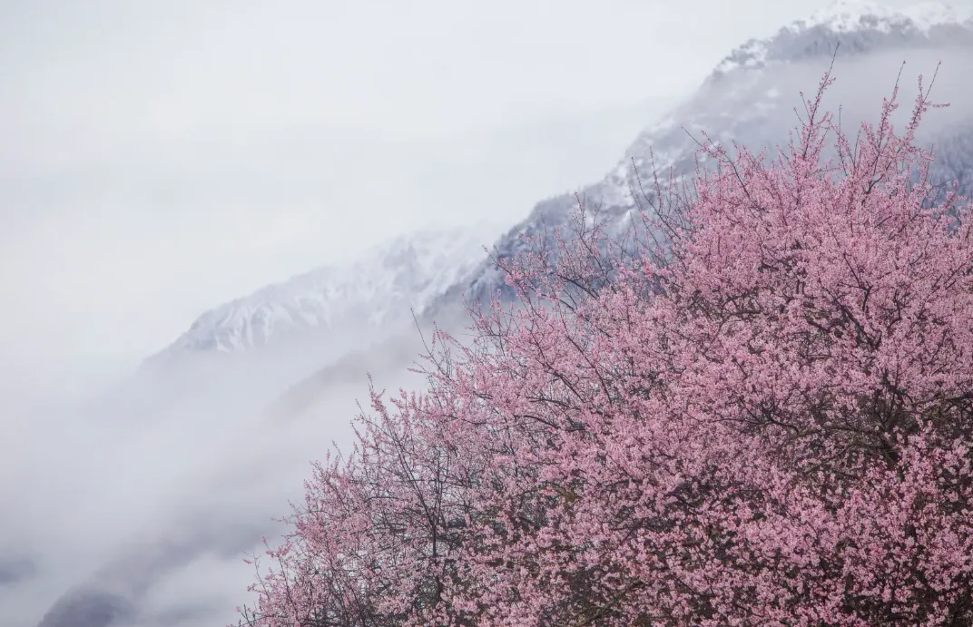 b29cb5426975df38bf5b68b0d22cd2b2-sz_1298714