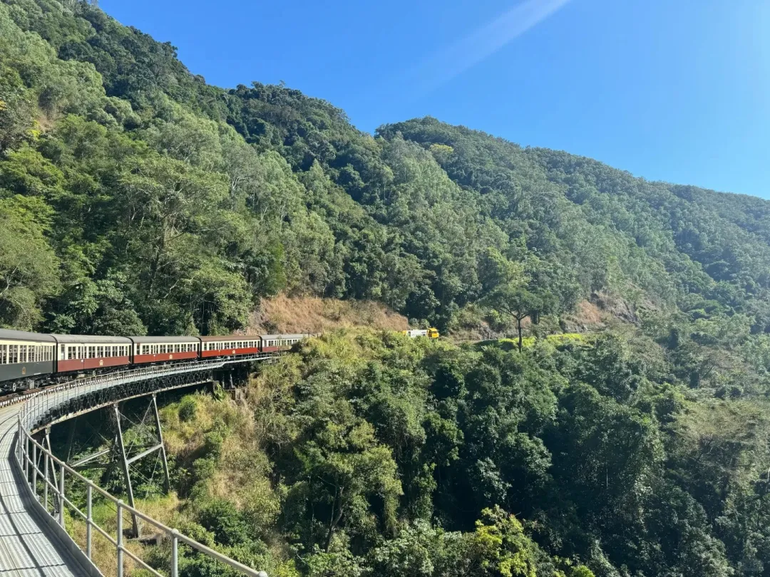 b33e637fa8eeced9b2ed5b1c3dee7a3d-sz_739158