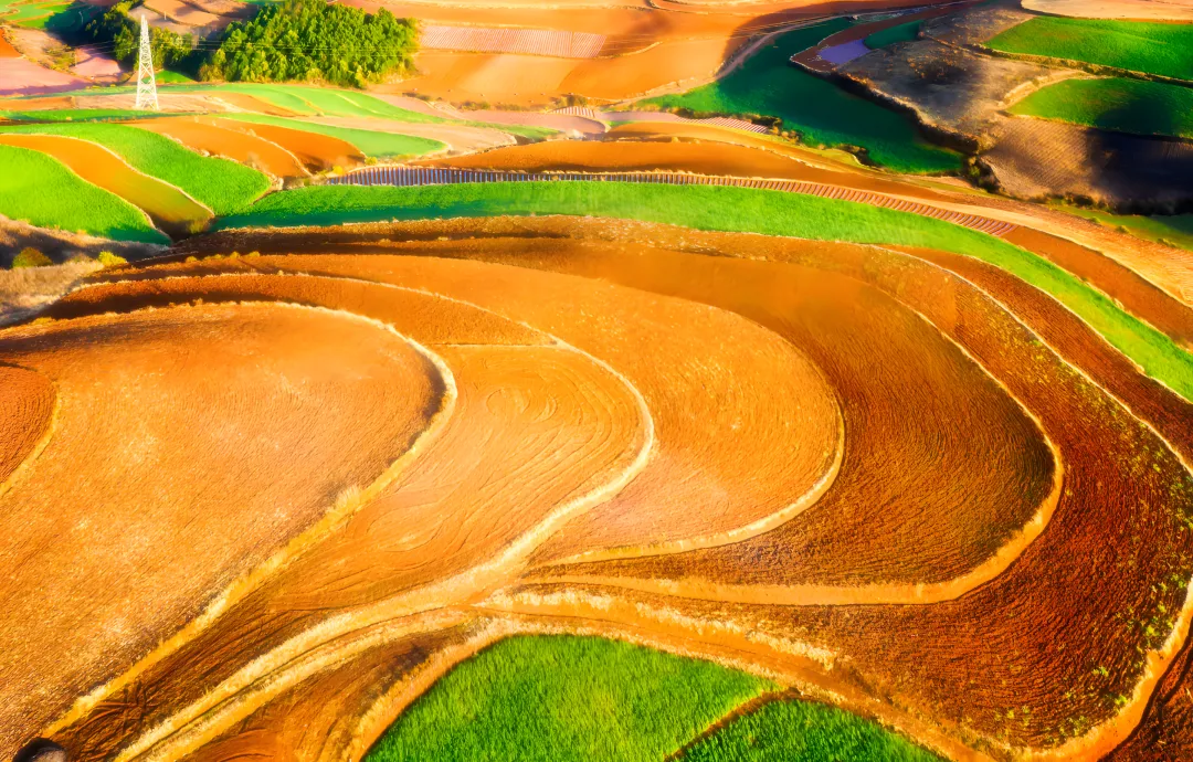 b3536ec0d6de9d10bedd810b92dc70b4-sz_17167729-1