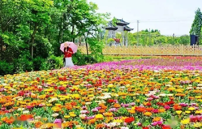 无锡观山湾酒店休闲度假四日游399元 含空调 含全程三早六正餐 龙寺生态园 长广溪湿地 雪浪山