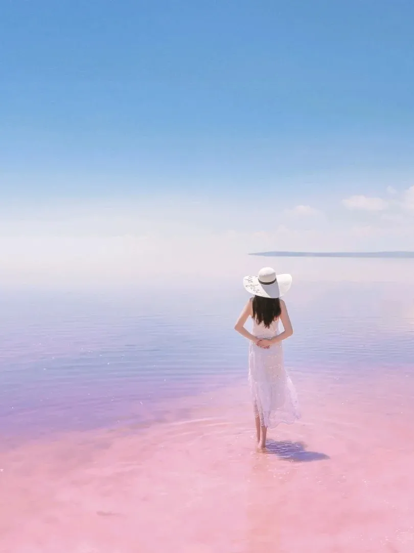 b39cbfc42ac2054c90b05a939e4b87e6-sz_100160