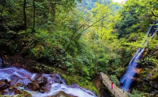 b3c013f140035f54008c89763721e7f0-sz_451890