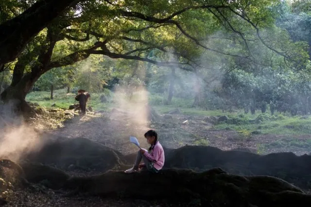 b3c3e0d897b49002dfc96c51765114b2-sz_105730