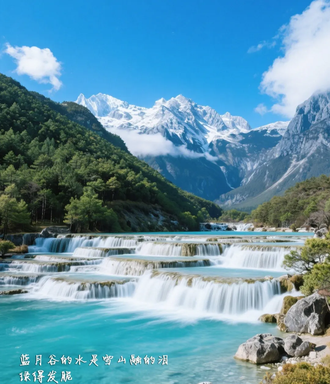 b40961c9e6805d69e686bcf353e18b2e-sz_1239021-2