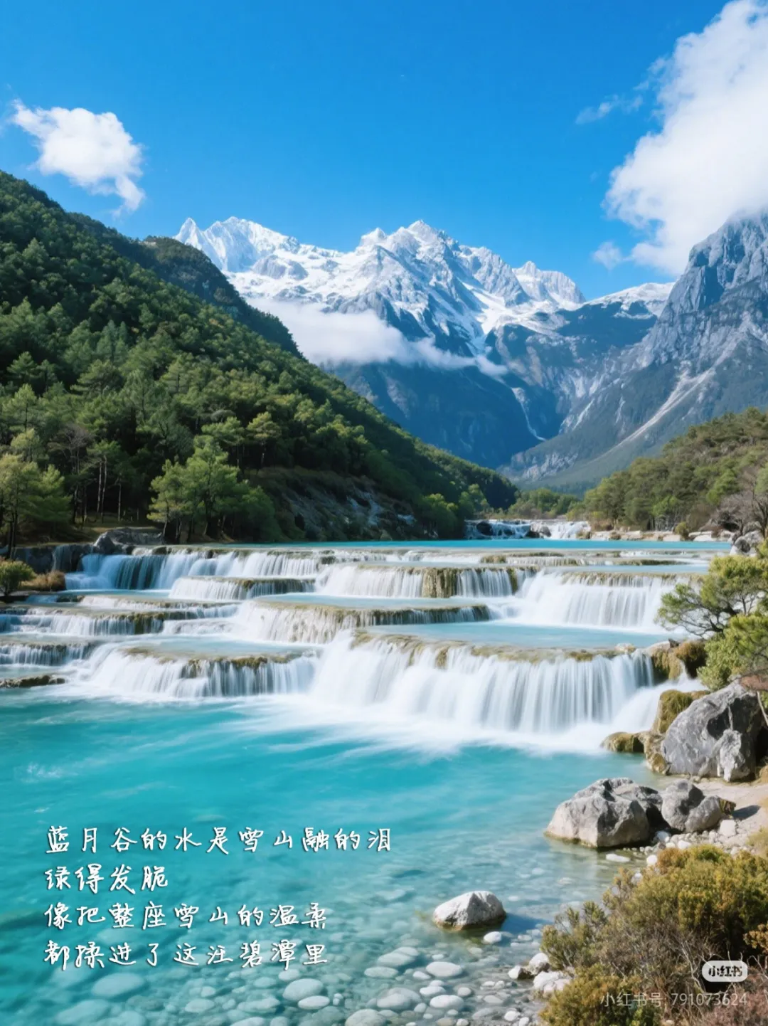 b40961c9e6805d69e686bcf353e18b2e-sz_1239021