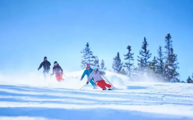 b4111f2532305154ba91eb91d78e3804-sz_422445