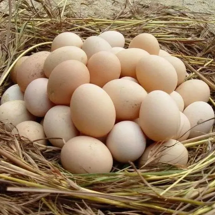 b420f4c81916df86162852ee791d26fe-sz_154479