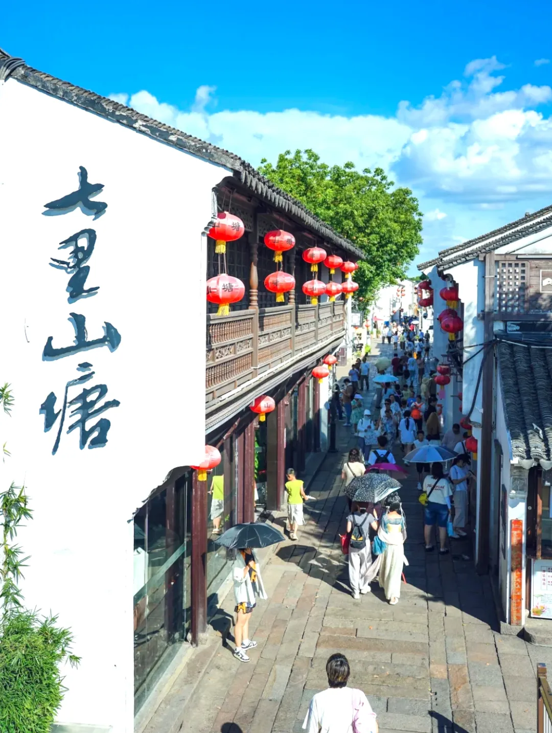 b4d678146fe2377c89a7b7e13ccf5fff-sz_983429