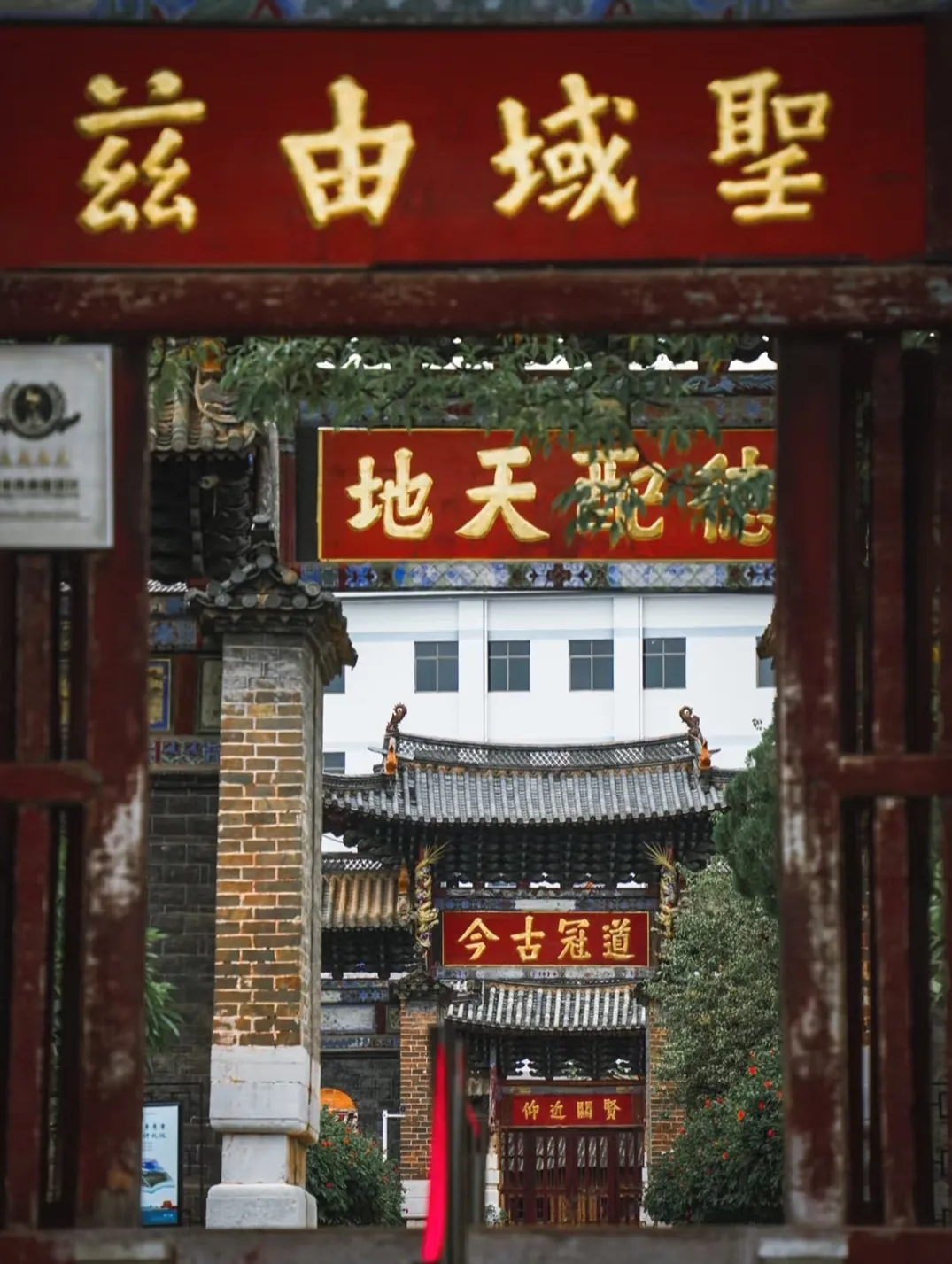 b555f028725fd6a454c3ef17df4cb8e1-sz_809888