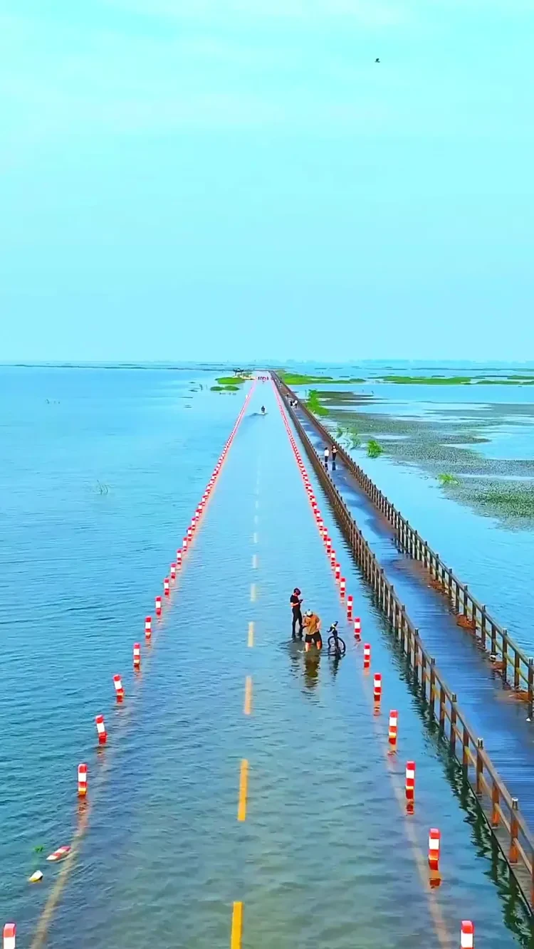 b57795c1b75cbd6c86aa1e6e3e38ebfc-sz_336405