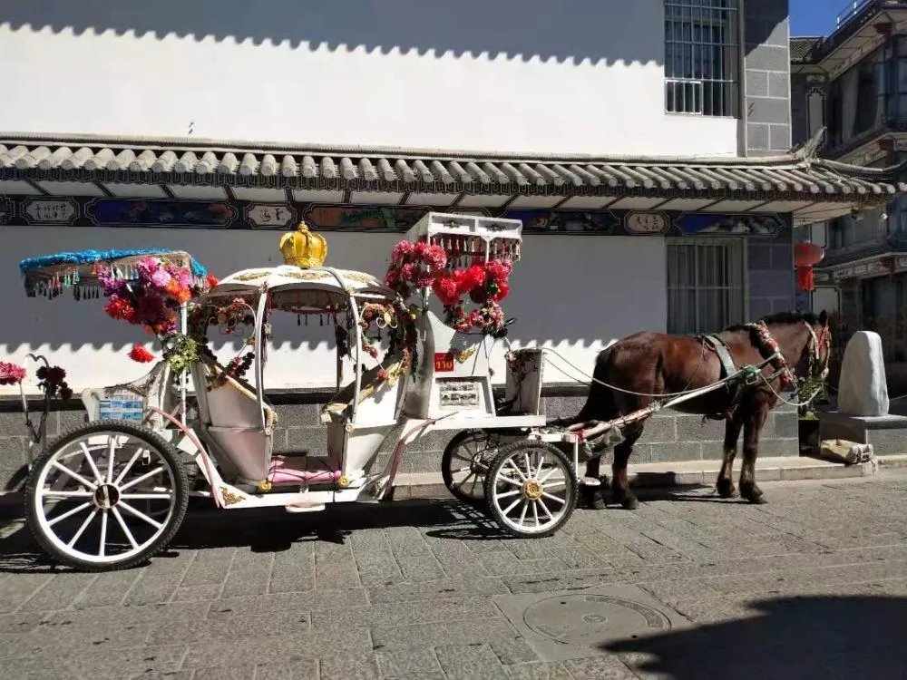 b57ec7cc334c7319108fc9b2ba38e57a-sz_151450