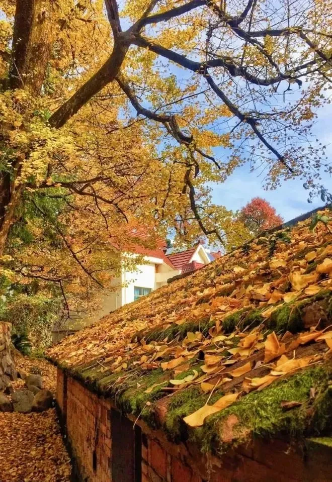 b5d1508d3a4cbe5fb2a08892c7d853e8-sz_201667 b5d1508d3a4cbe5fb2a08892c7d853e8-sz_201667