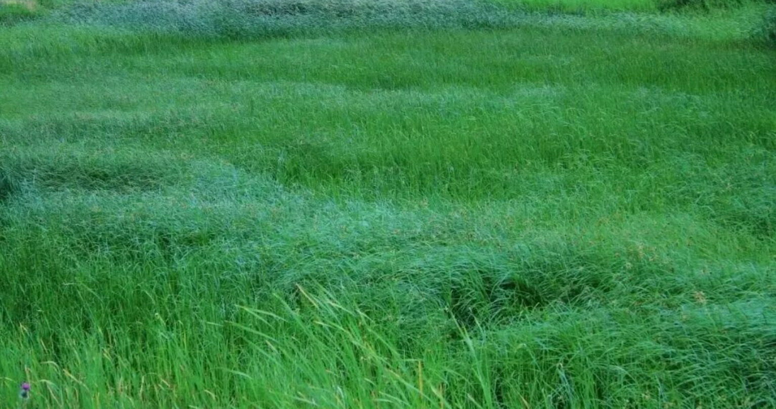 b63fc8cd90a227676bf1056cfeda8cc2