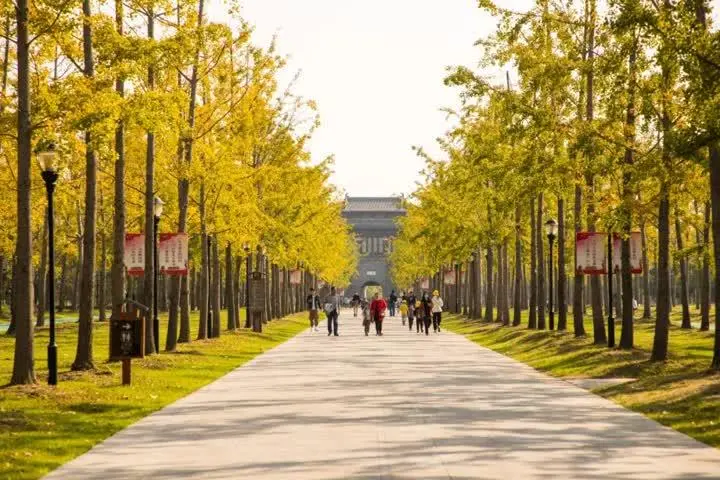 b645e60642198552674b3c60e979d2bd-sz_77384