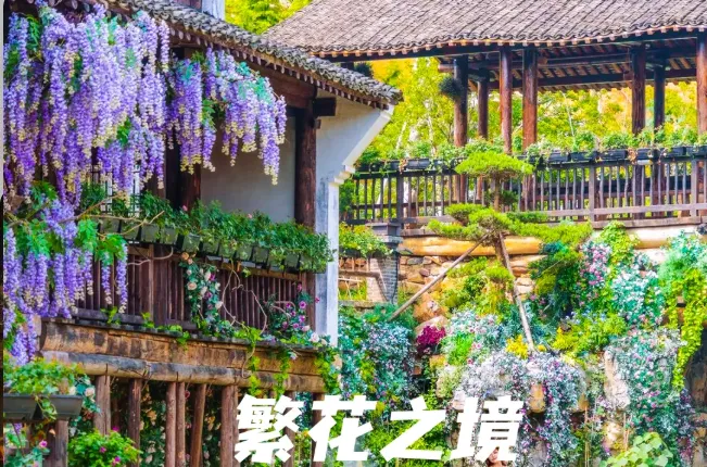 b6610cfe2699b4922e8919ecc0c2990a-sz_791779