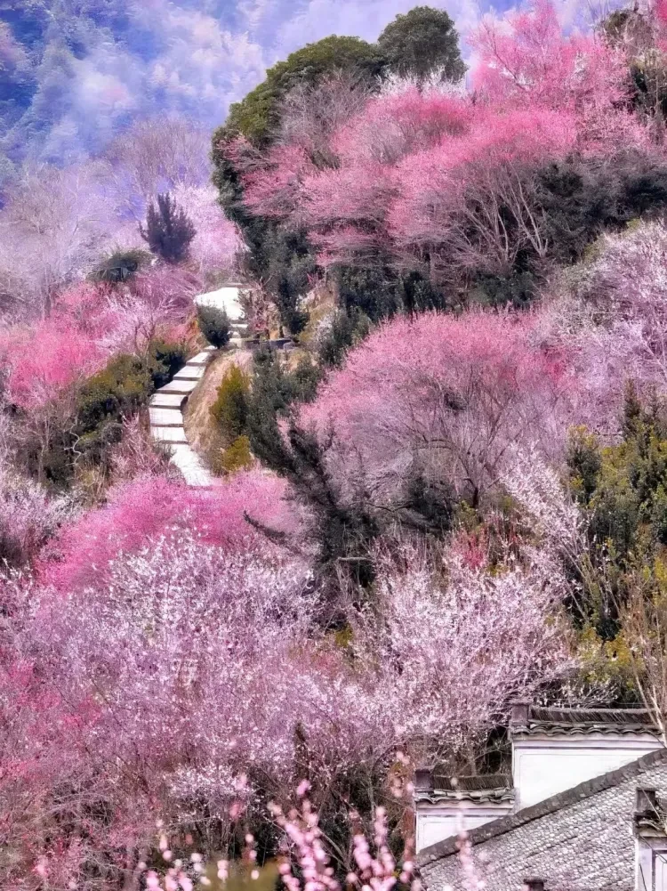 b671cd2e3cbf8859a79c836b4b5c4db8-sz_4414738-1