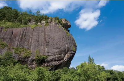 b6b584c8dbc80a0ce2546432519d7f99-sz_1608151-1