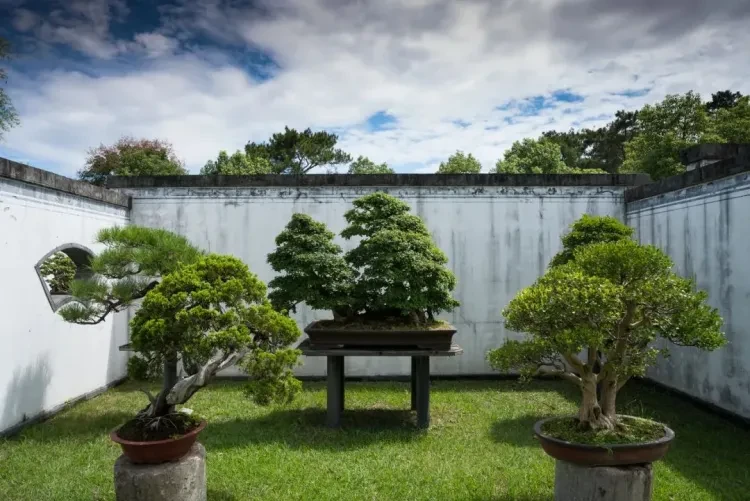 b719eac7529c2660a07f02014c156545-sz_158812 b719eac7529c2660a07f02014c156545-sz_158812