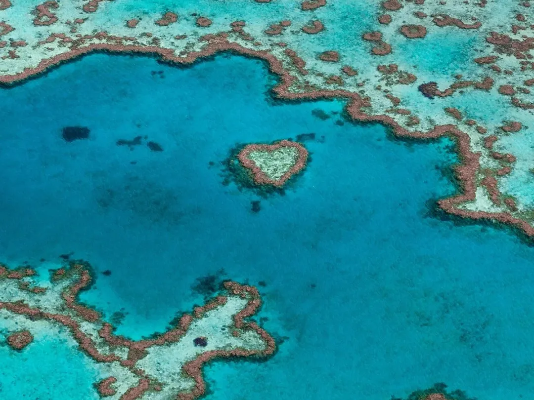 b7866dd8b3e4a7a46d3c3cd9642d66eb-sz_554808