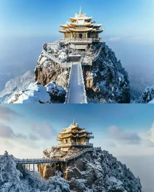 b787348cd3856d8dc7573a9775ca9604-sz_768246