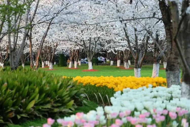 b7c581d1f92a3141fe3b57028eba88ea-sz_195830