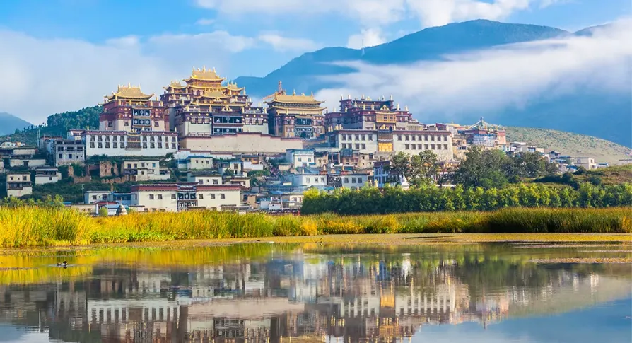 b7e01a76ae9a7d435a46173ff1f2ba27-sz_1121365