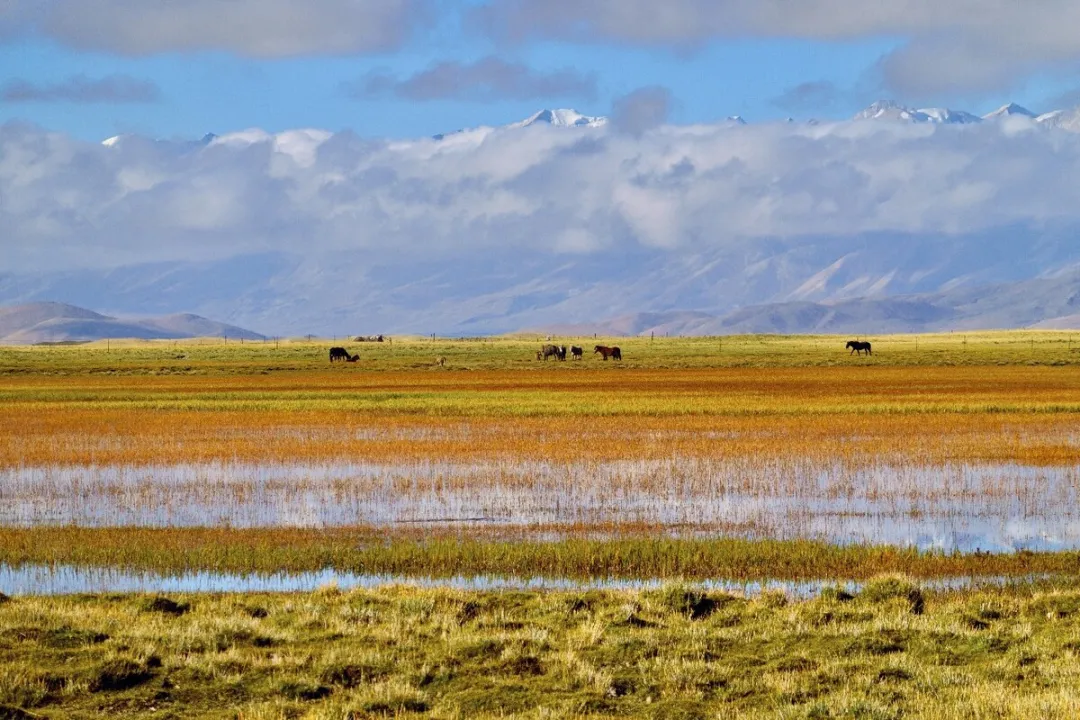 b7e0cb3d41a7c9818e615c2e34db6e42-sz_328684