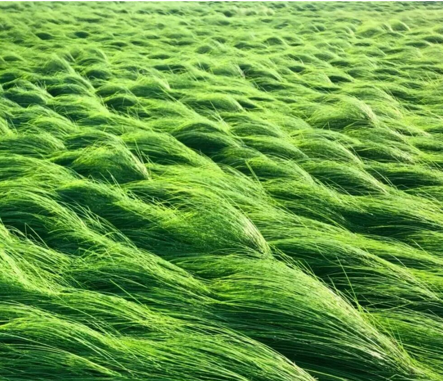 b7eb9eae49ba520f7aa873e850501f8c