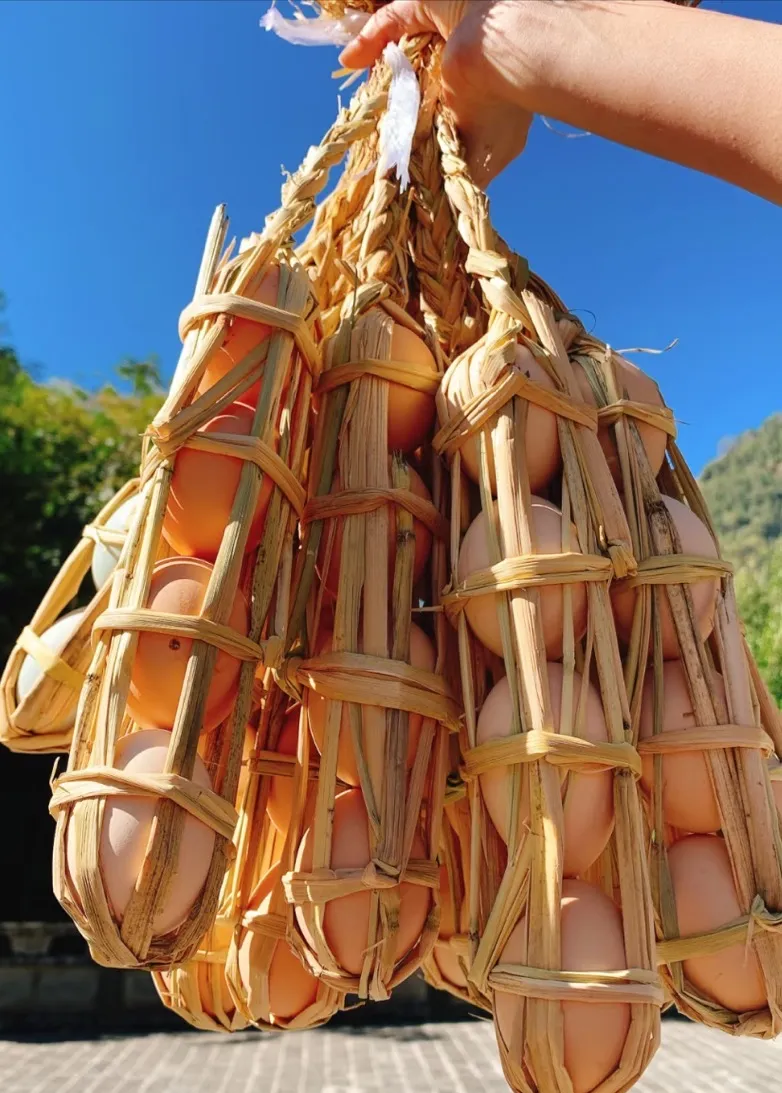 b7f423b76c5893e351cf0cc01d296d1f-sz_231294 b7f423b76c5893e351cf0cc01d296d1f-sz_231294