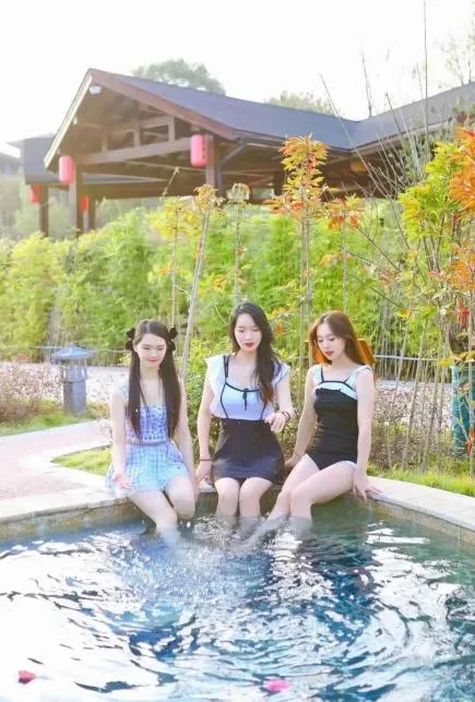 b7fde65855de6a9eb5a36e252d056747-sz_472988