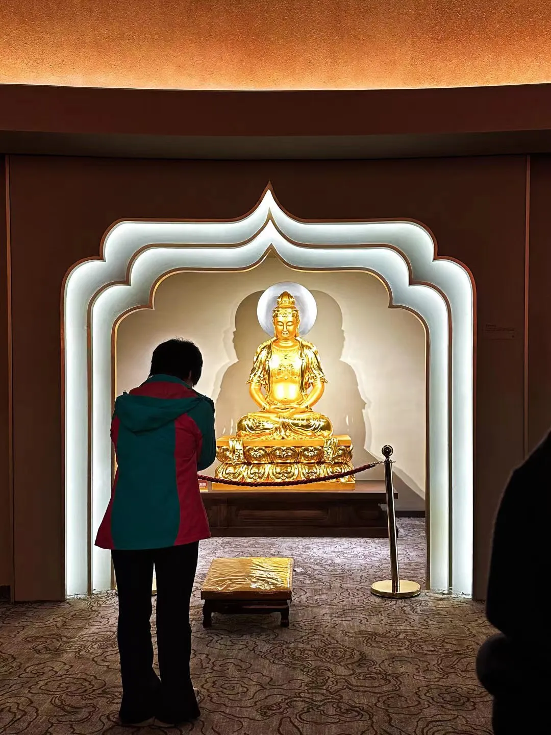 b804af16b13629217e2c71cff61e8d40-sz_303950