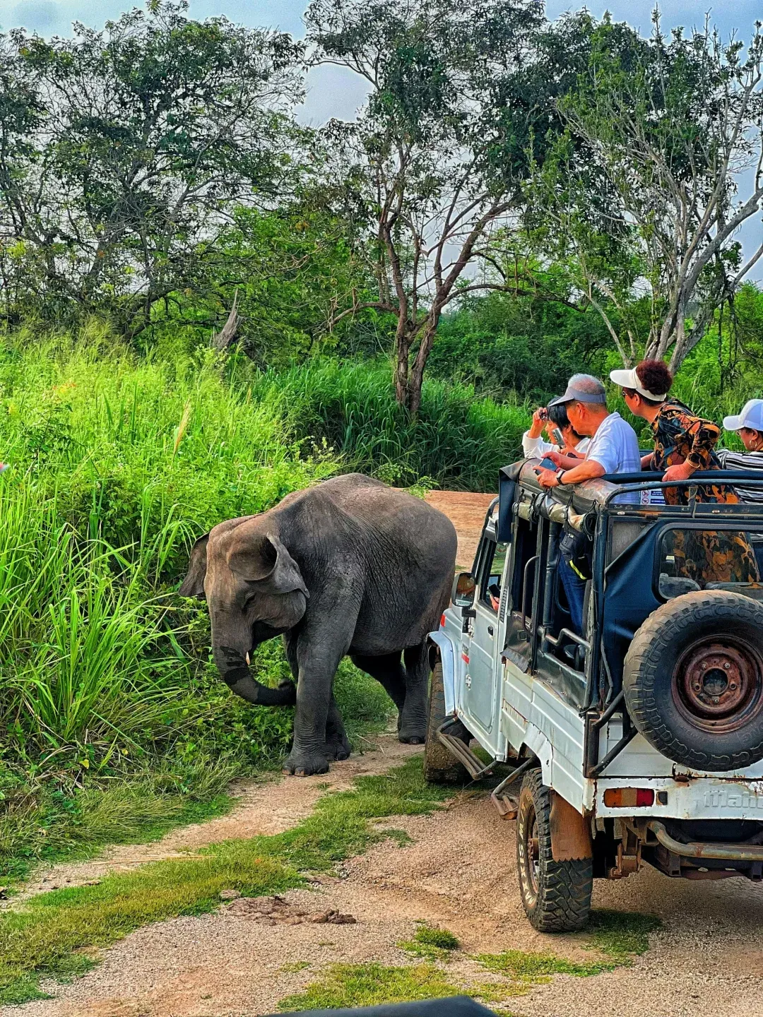 b834012d6bc262be4916e0bd0e7f7e49-sz_3886182