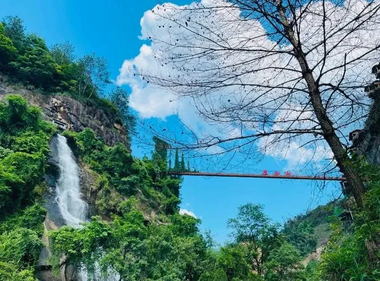 b866aa054c950a73569a676b8aa4a41d-sz_161755