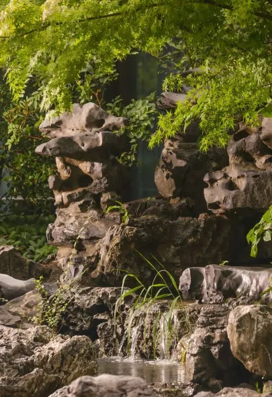 b866eaf15c419421cee0cbc15579f576-sz_125390