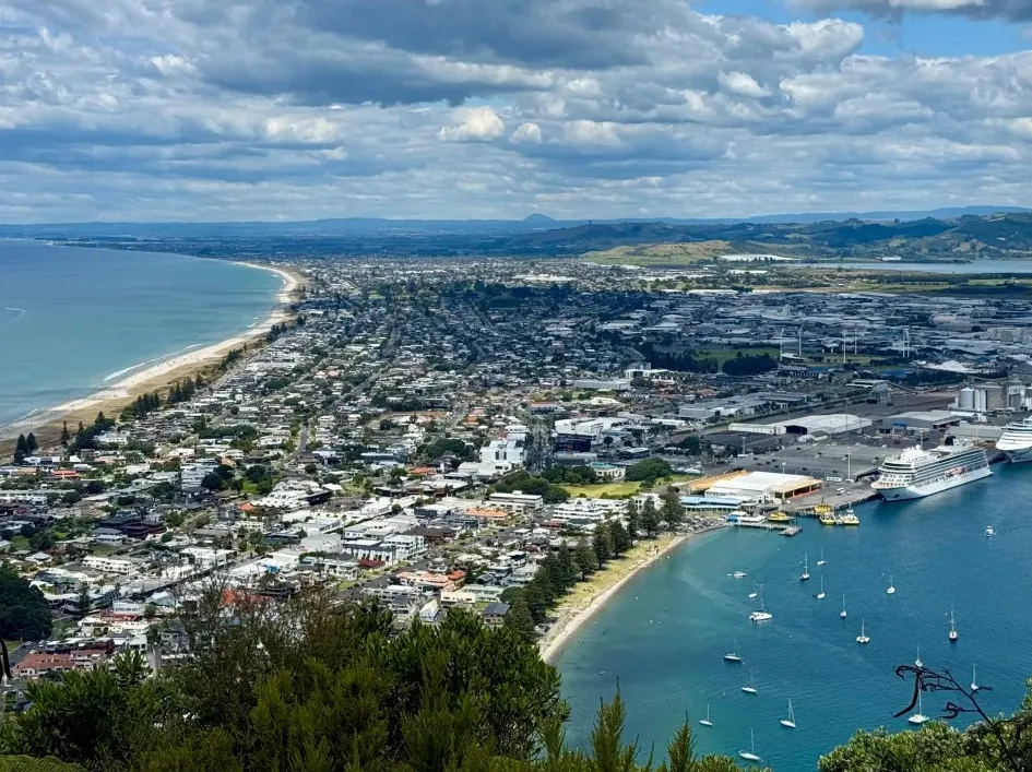 b89567de31e7fdd6a542e57c05025f42-sz_559044