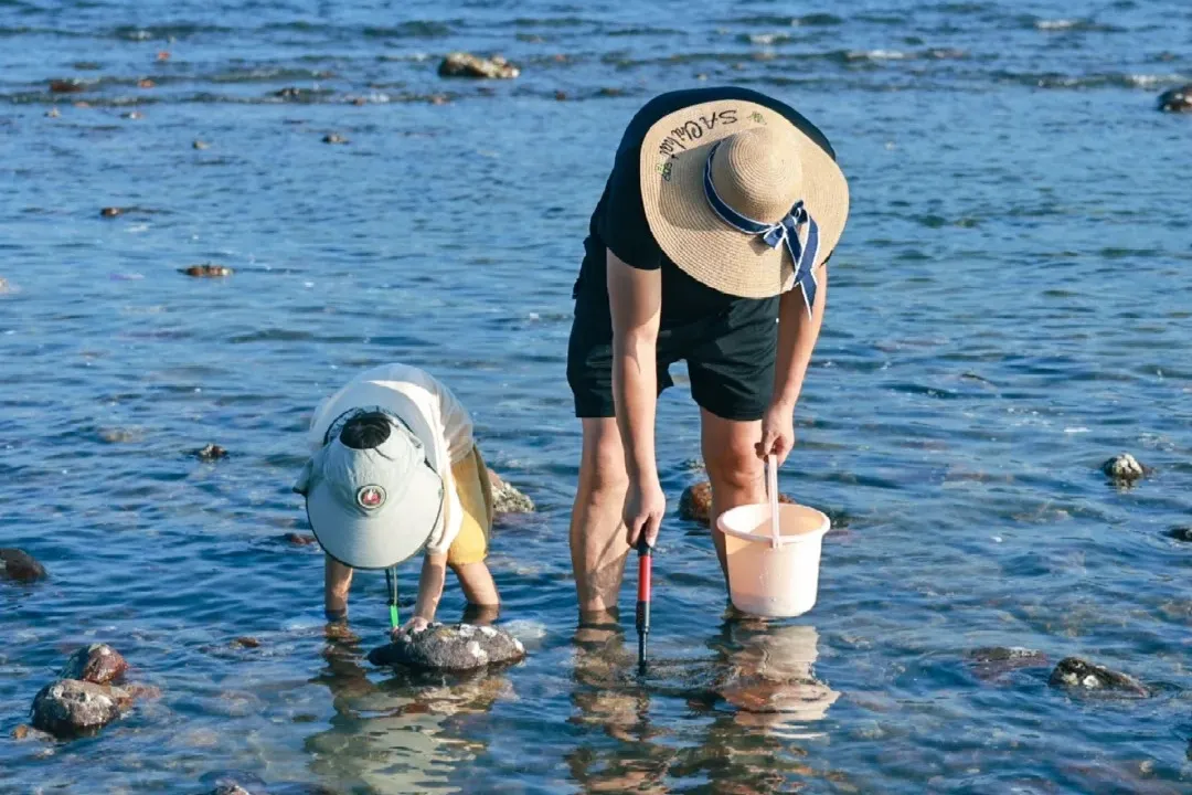 b8e8003a525fe382a49a5c9d5cbc6aef-sz_337384