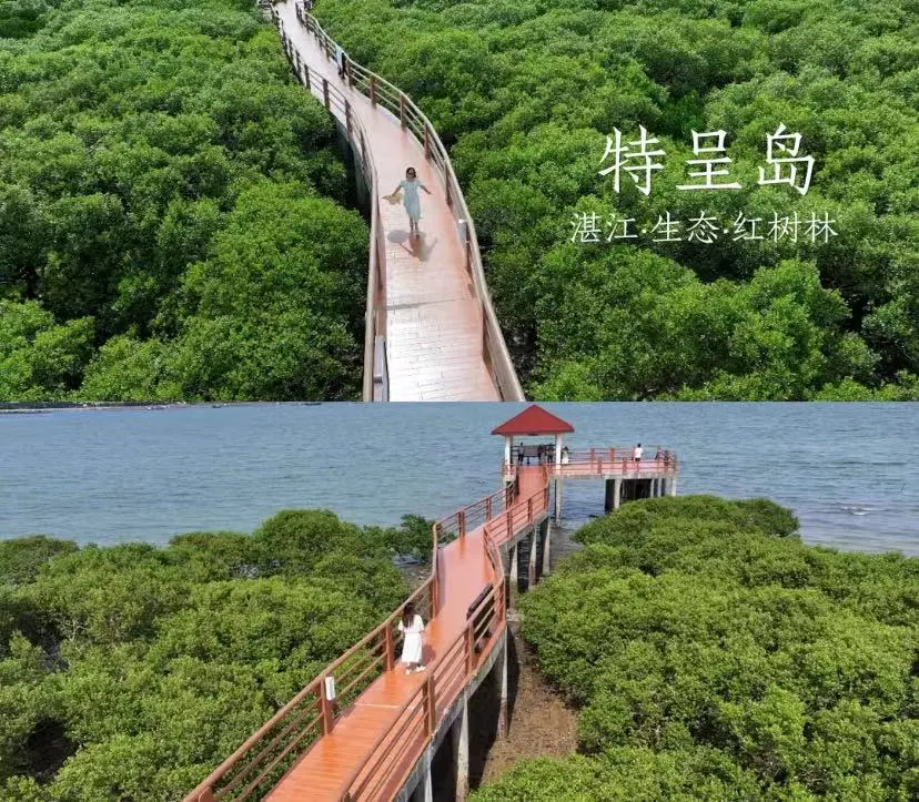 b927b3077e280d5c4cfddd8381c0416c-sz_253750-1 b927b3077e280d5c4cfddd8381c0416c-sz_253750-1