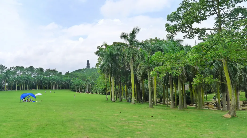 b92adc7abddefc248e1441a775d4421b-sz_1157927