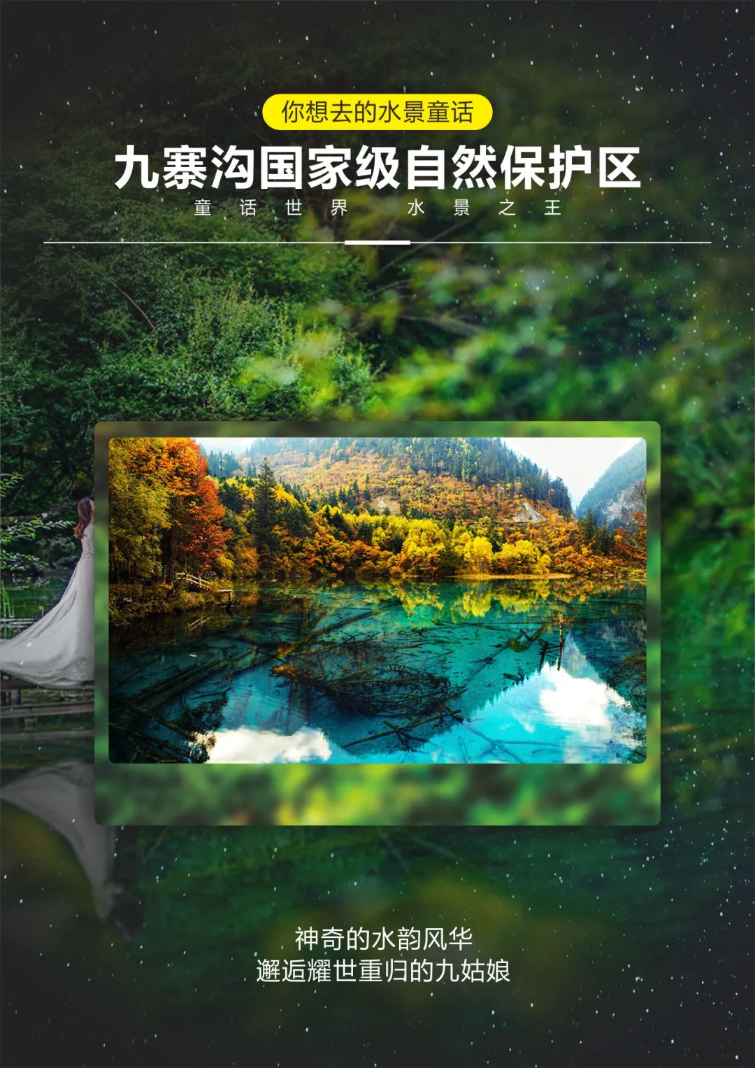 b9452b43fc892e7ced793a85b1de120d-sz_3130325